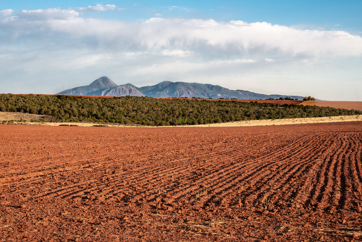 Sleeping Ute Bean Fields